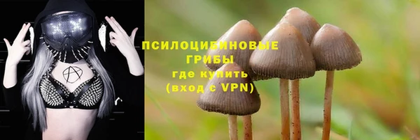 мяу мяу кристалл Мегион