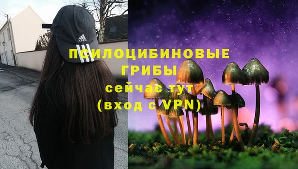прущая мука Медногорск